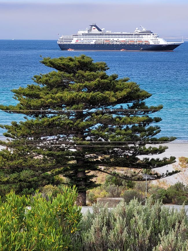 Tag 92: Penneshaw/Kangaroo Island/Australia
