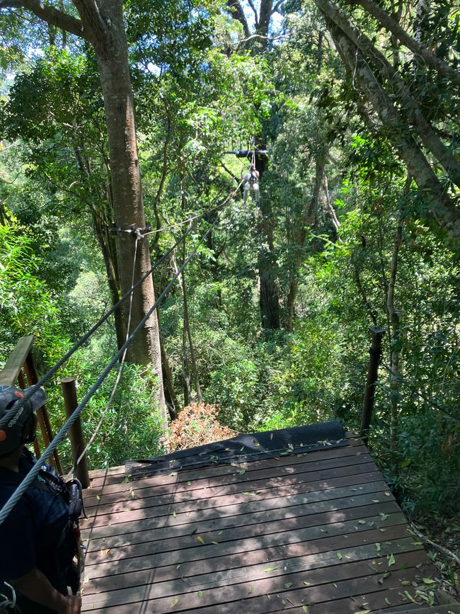 Tsitsikamma canopy trails on flying fox and Storm Rivier suspension bridges plus 1/3 of the waterfall day hike
