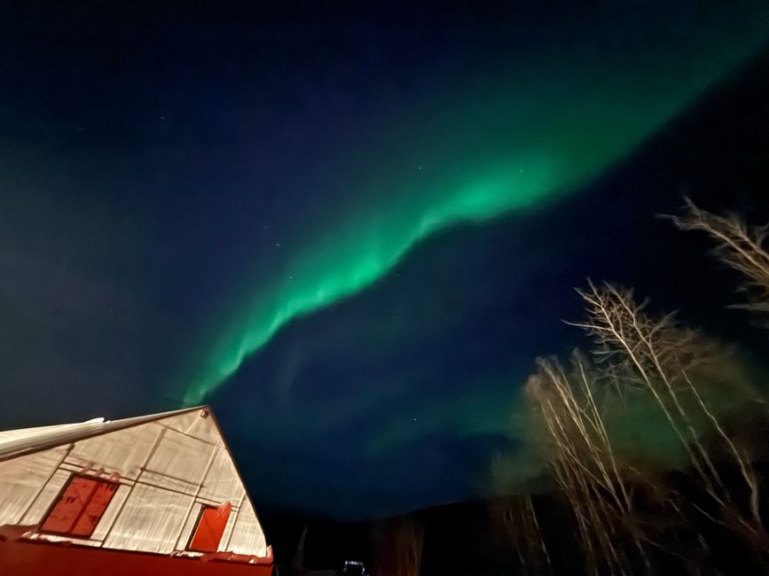 Alaska wasn’t just a trip.
It was a feeling you carry long after you leave.