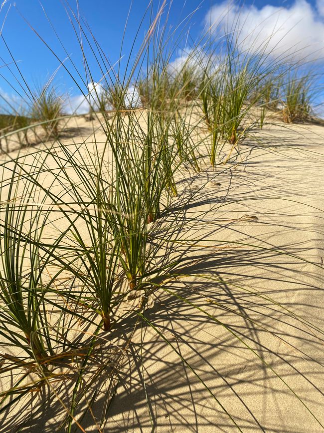 At the End of the World