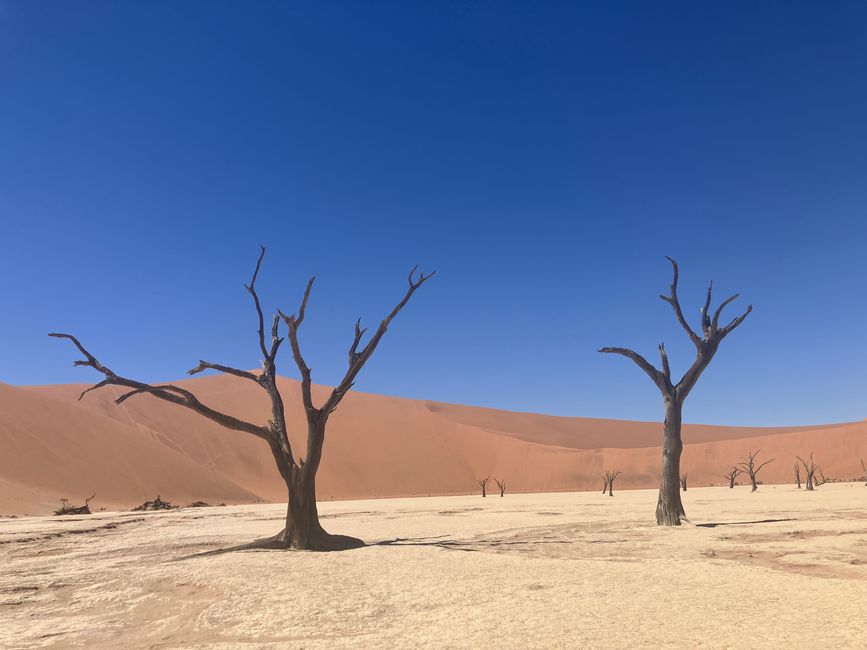 Il deserto namibiano - un mare di sabbia
