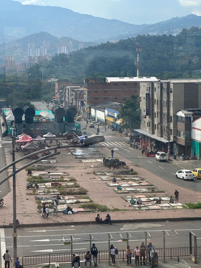 Medellín- die Stadt, in der alles erblüht?