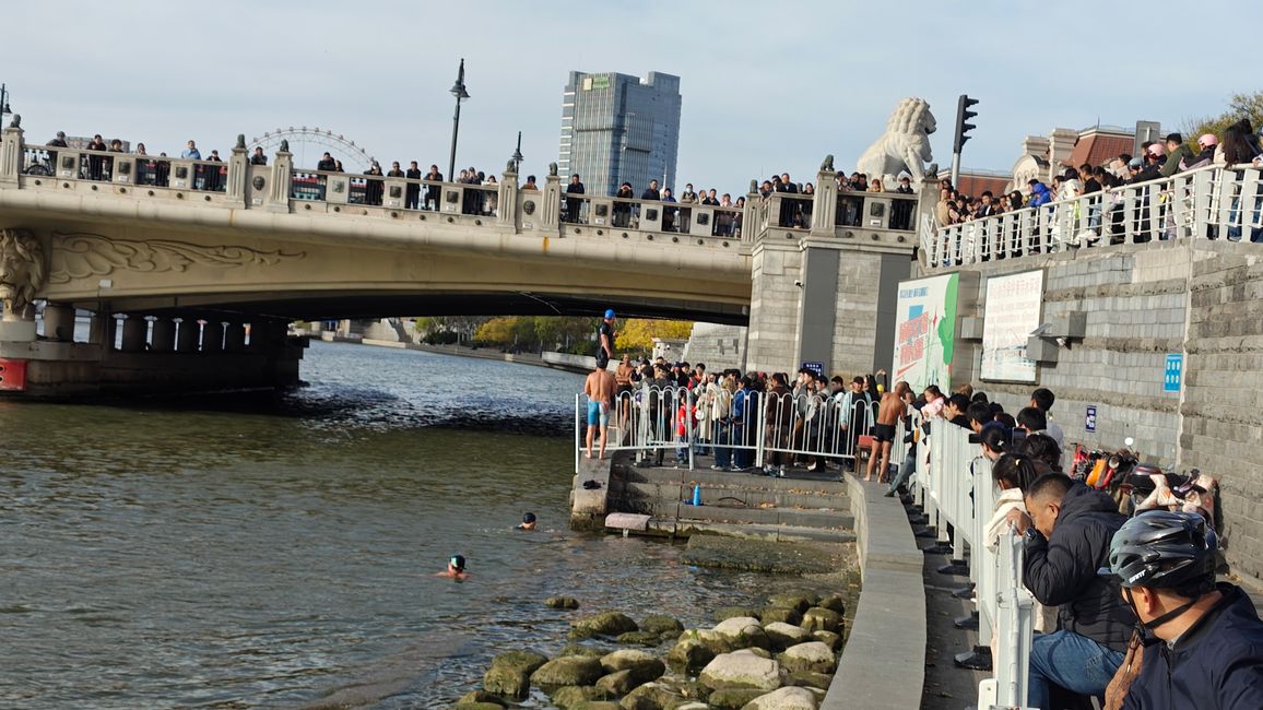 Schwimmer im Hai Fluss