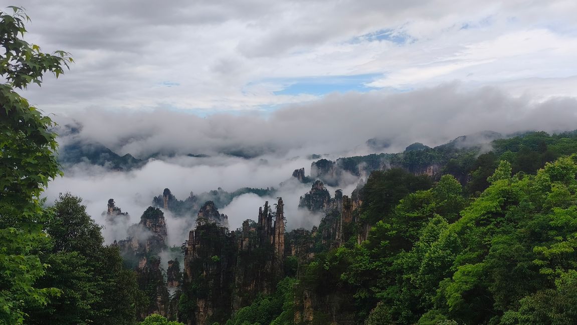 22. Mai.  Naturpark Zhangjiajie