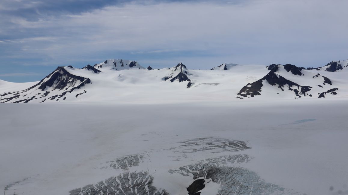 Champ de glace Harding