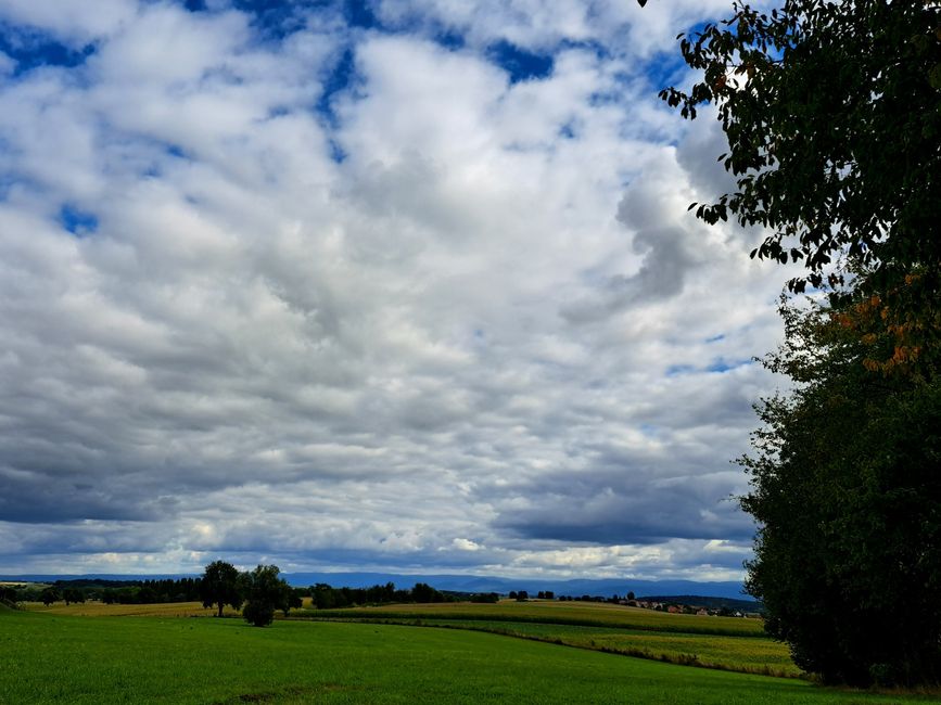 View to the Black Forest