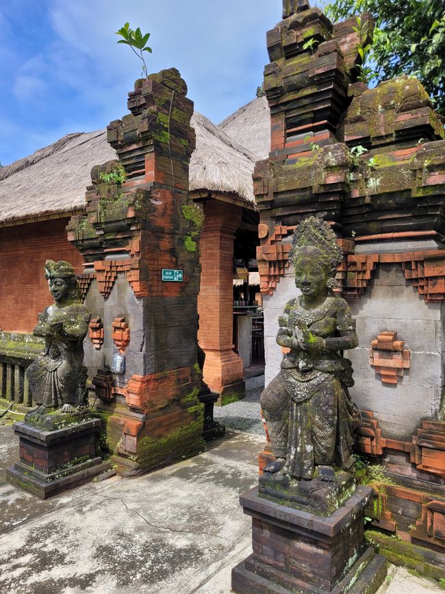 Tag 111/112 und 113 von 175: Kreuzfahrt rund um die Welt - Benoa/Bali und Seetag