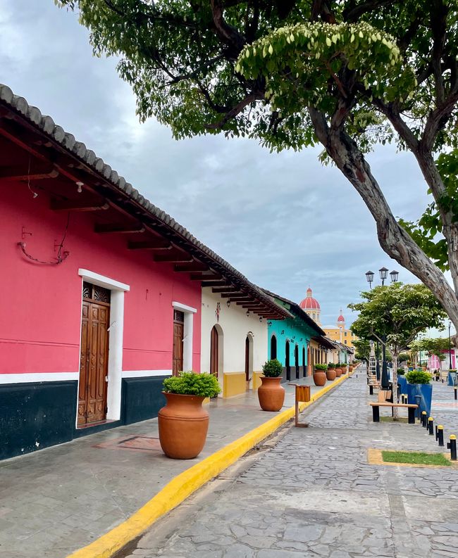 Paseo de turistas