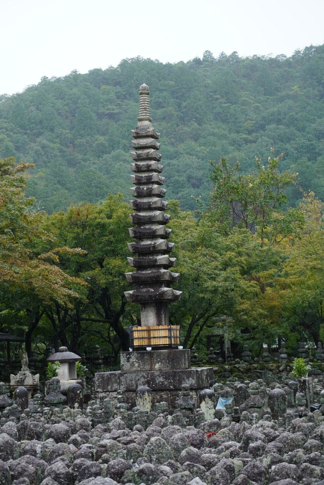 Gartenbesichtigung im regnerischen Kyoto