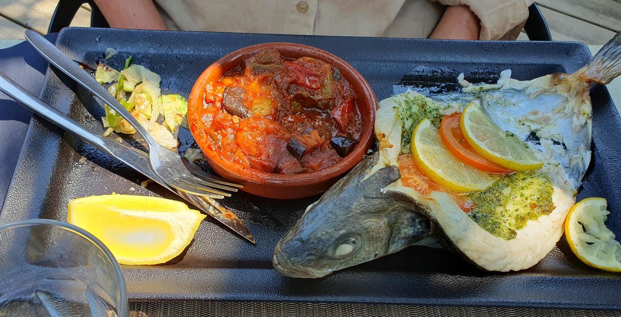 Loup mit Ratatouille