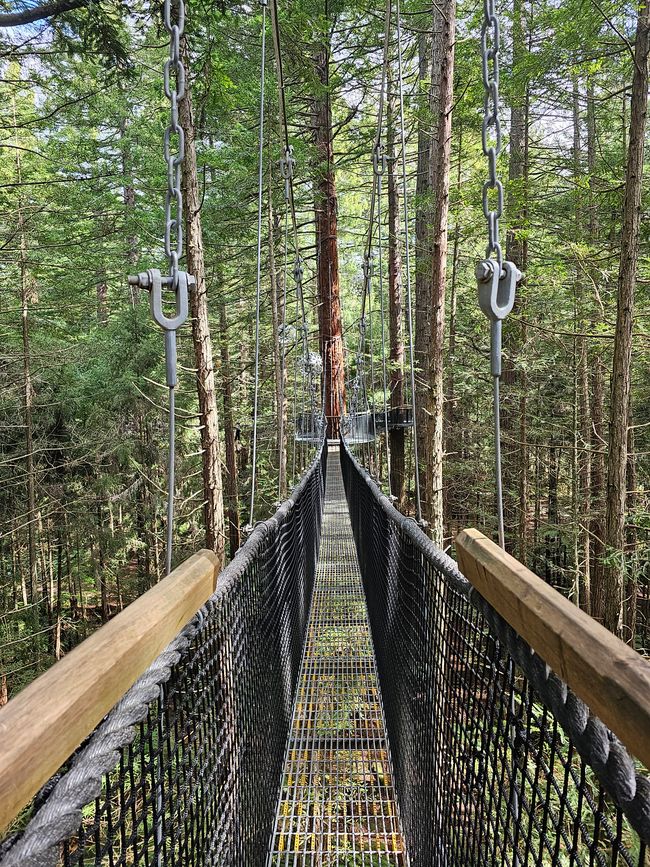 Treetopwalk