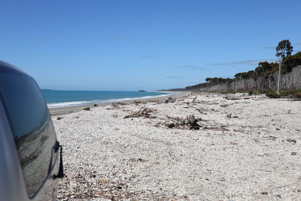 West Coast bis Jackson Bay