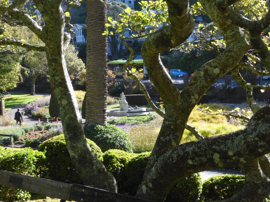Giardino botanico 