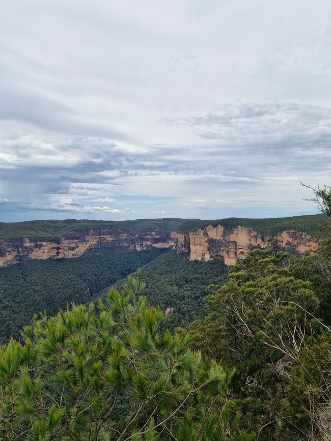 Canyon View