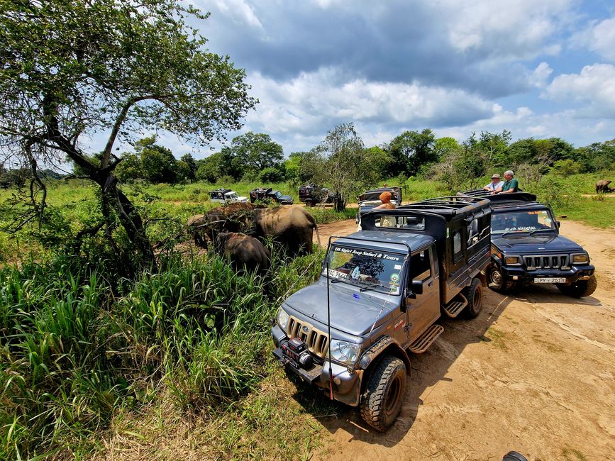 Hurulu Eco Park