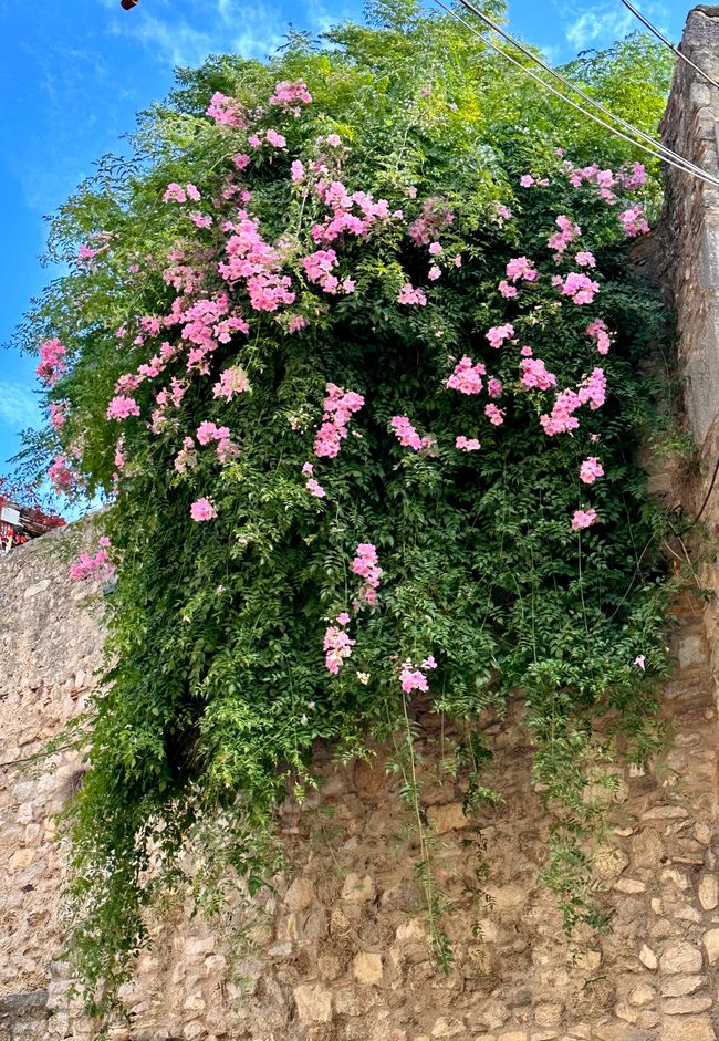 A Day in Girona