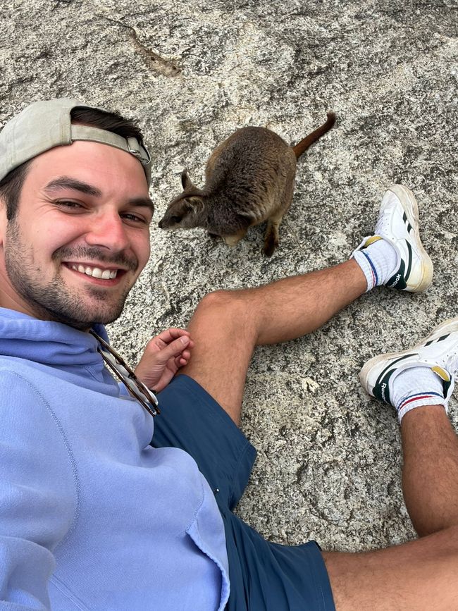 Cairns + Wallabys