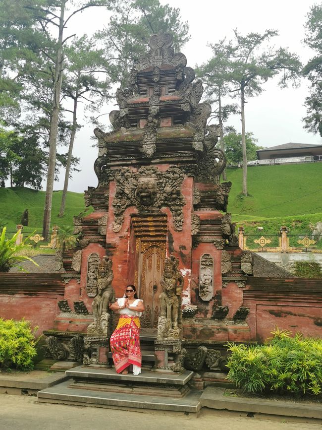 Excursión de un día a Ubud y Tegallalang