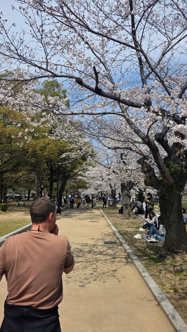 Update: Hiroshima & Nagasaki