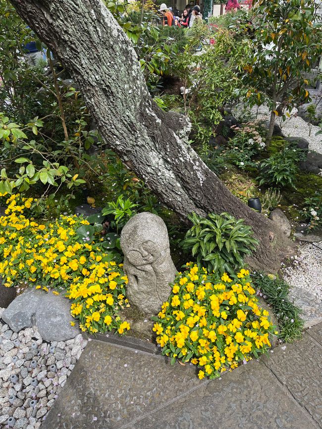 Kamakura-Freitag-11.04.25
