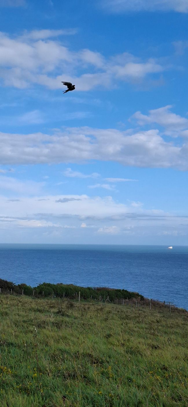 Tag 15 - Londra -> Dover