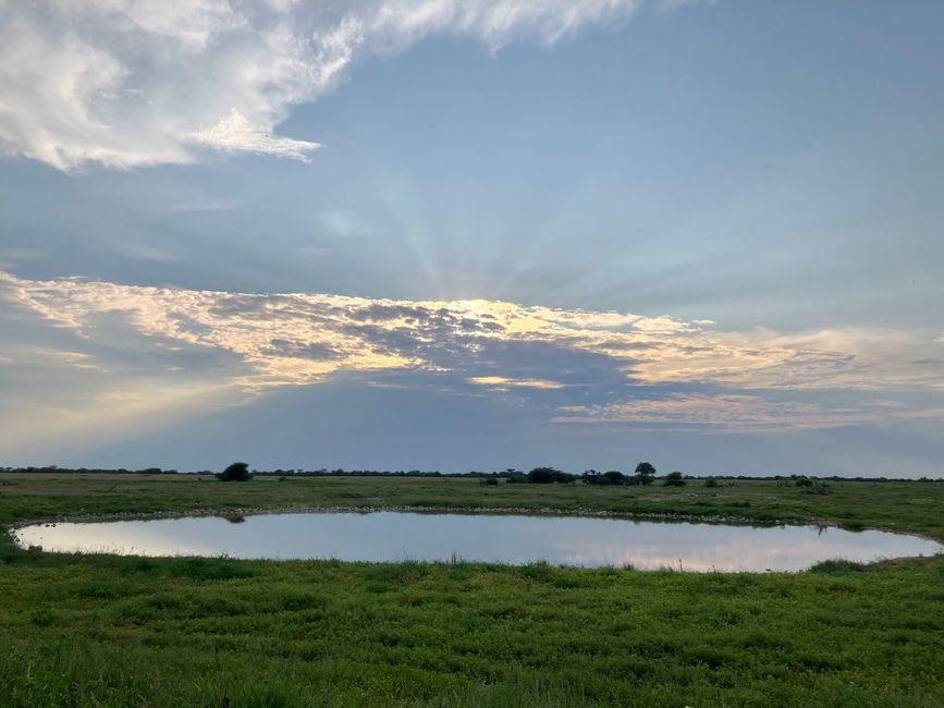 El Parque Nacional Etosha