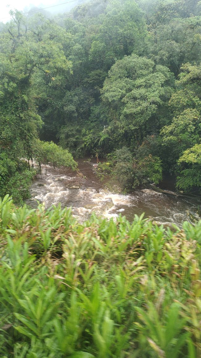 Brasil, Curitiba y viaje en tren por la selva tropical