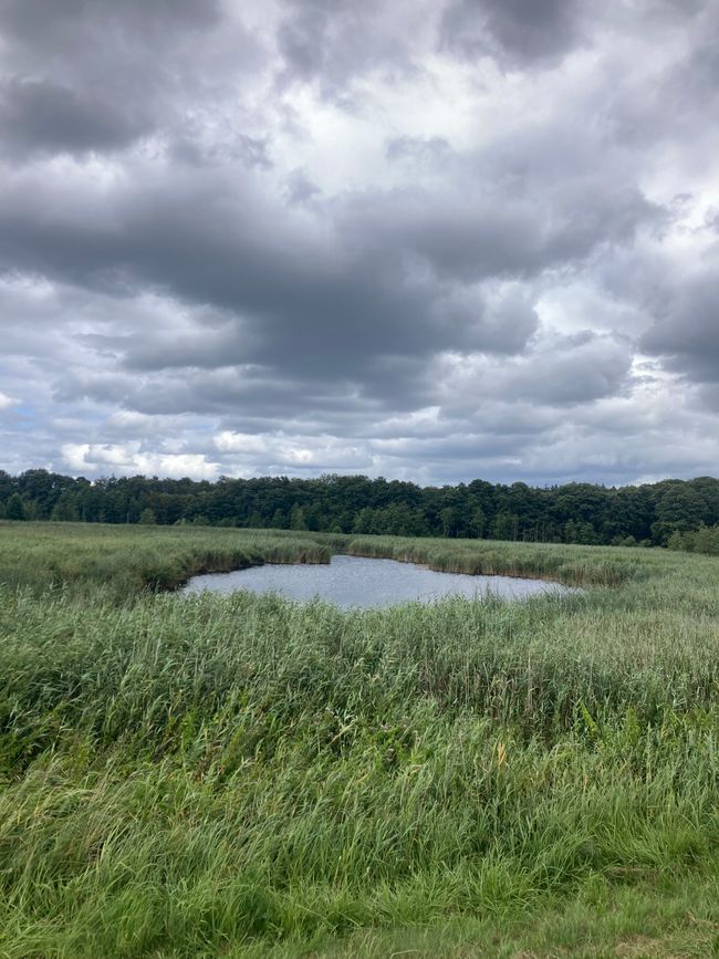 Karlshagen - immer mehr, immer mehr, immer mehr…