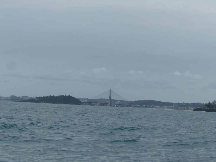 Brasil, Observación de Ballenas