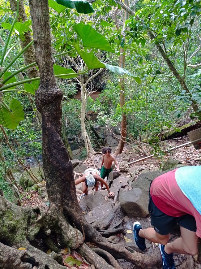 Erfrischung im Dschungel und an einem der schönsten Strände von Guadeloupe