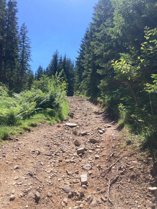 Genusswanderung zum Wertacher Hörnle