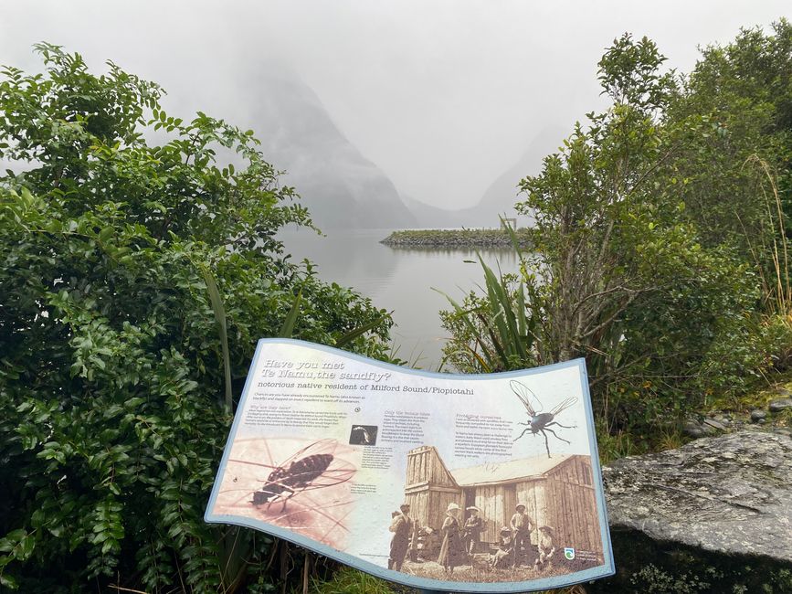Road trip to Milford Sound