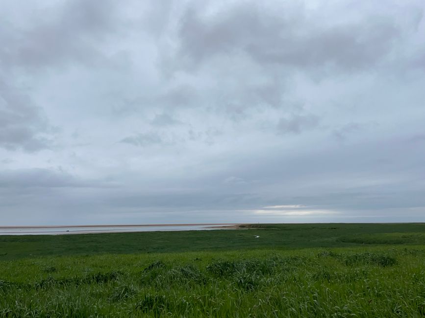 Auf der Jagd nach Puffins