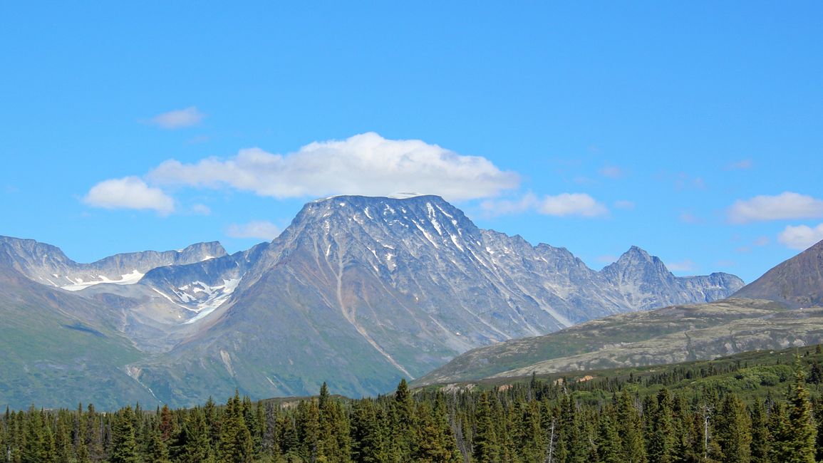 Tag 27: Bärenshow & fantastische Bergwelten - zurück nach Yukon/Kanada