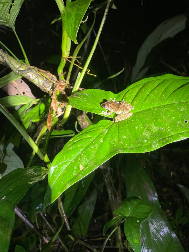 Zwei Ausflüge der besonderen Art