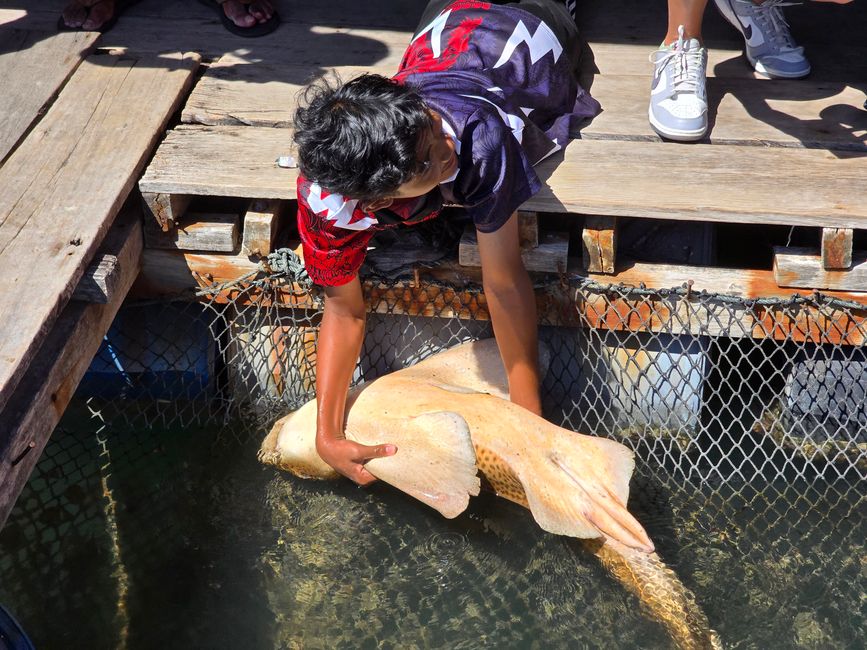 Langkawi - Reif für die Insel!