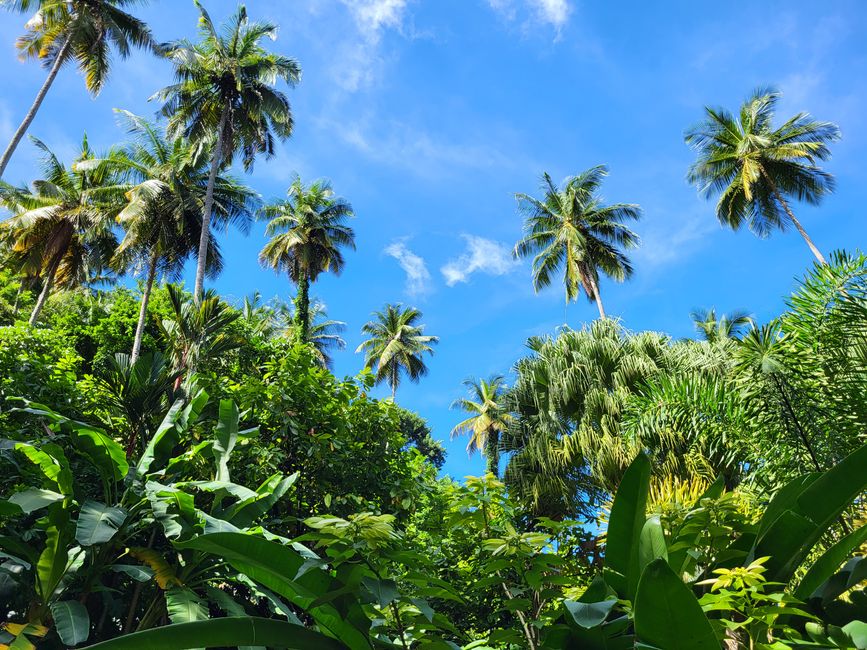 Giardino Botanico 