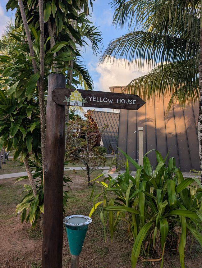 Auf ins gelbe Haus💛 (9.10. Teil 2/3)