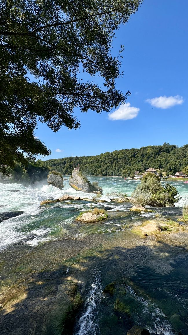 Cataratas del Rin