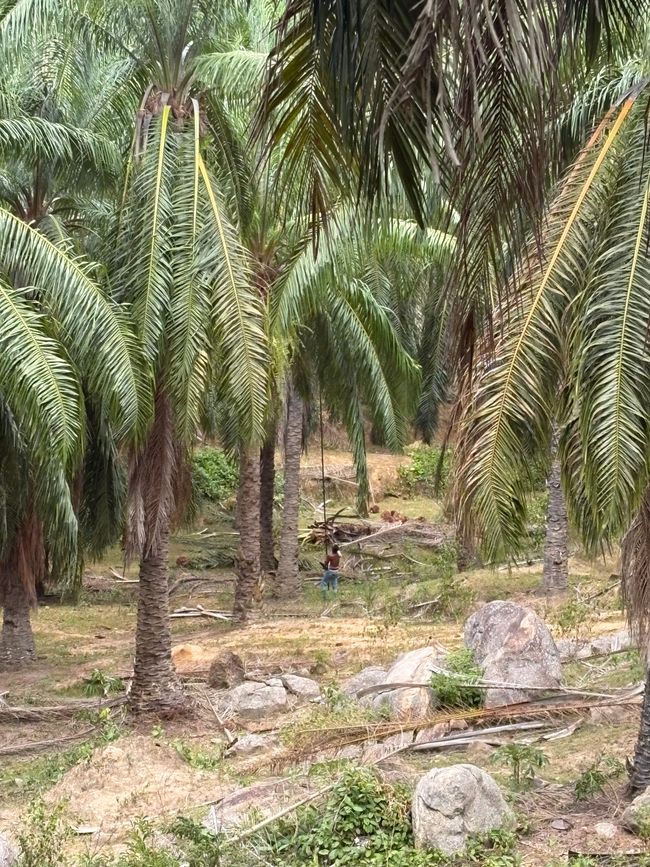 Lenggong