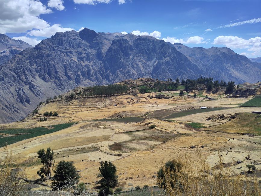 Arequipa: Beautiful Colca Canyon and the best almond peak in the world