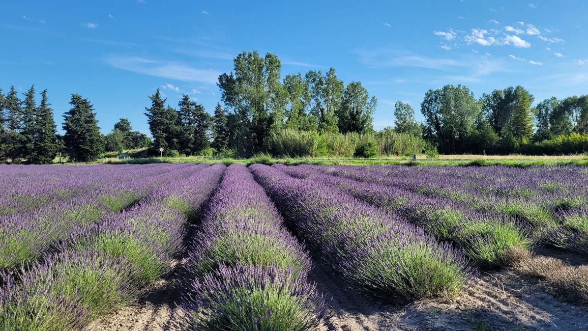 
L‘Isle-sur-la-Sorgue
Gordes (Provence)