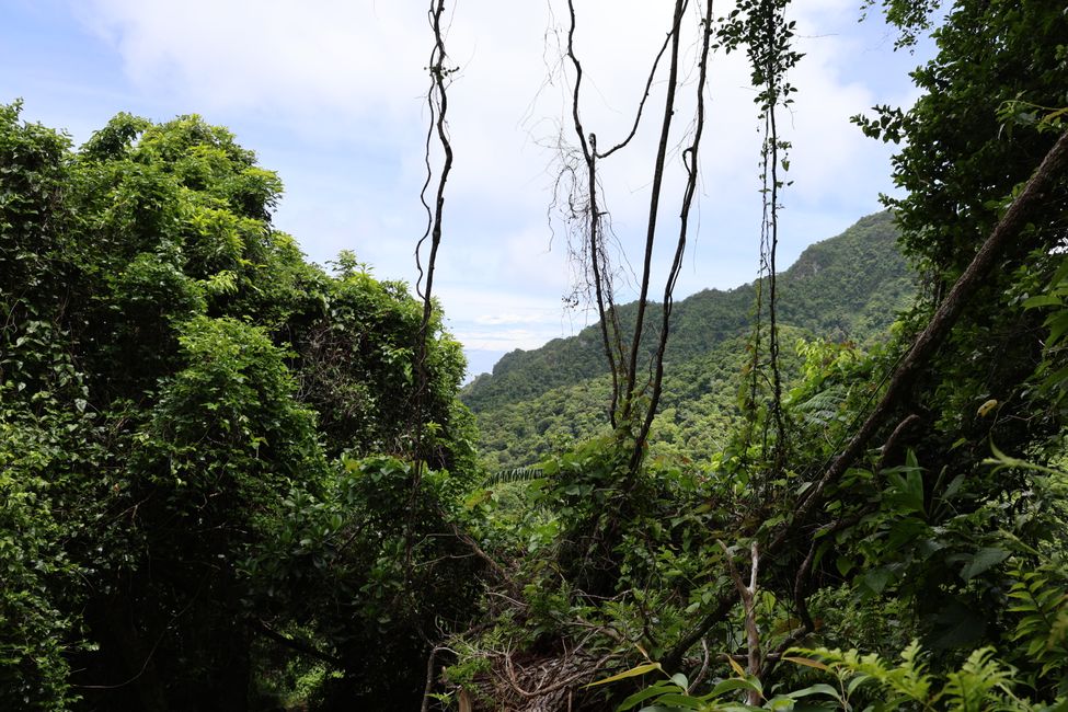 Rarotonga - Caminata cruzada por la isla