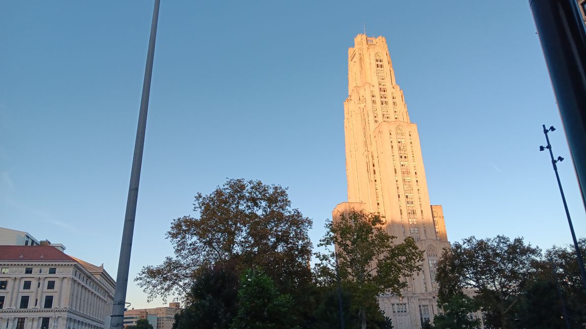 Università di Pittsburgh (Pitt)