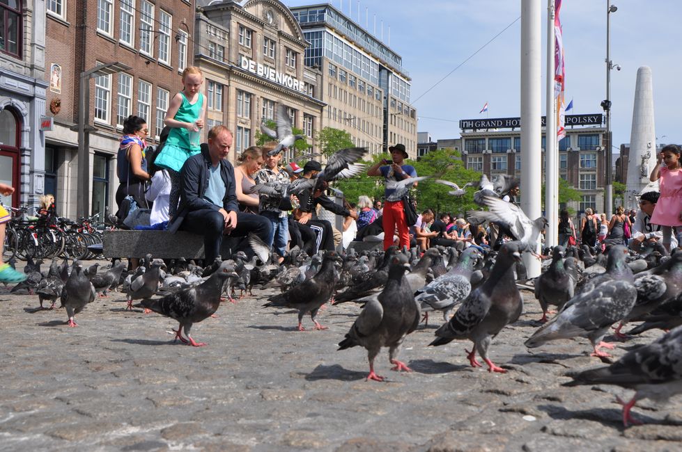 Prideday in Amsterdam im August 2015