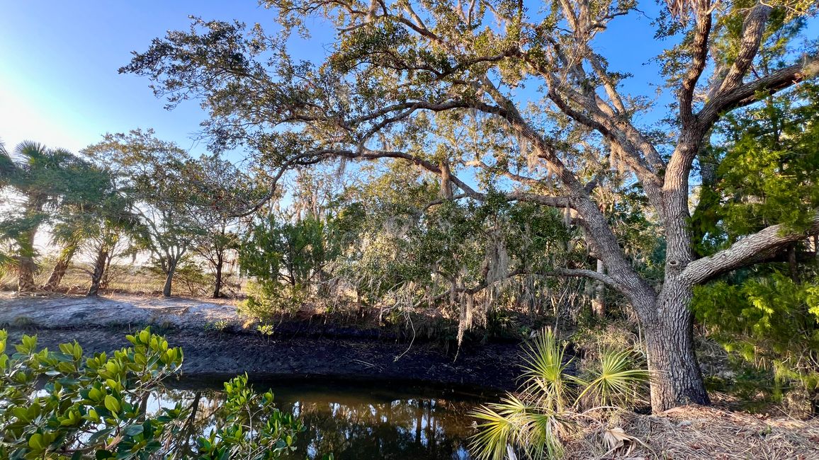 Tag 381 - Crystal River