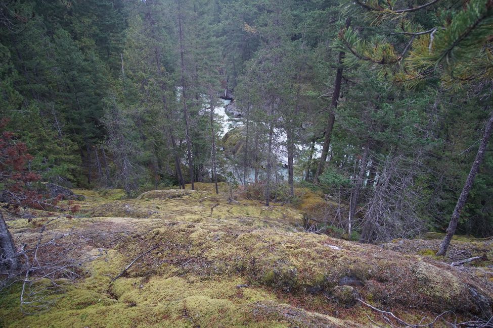 Tag 13: Fahrt nach Whistler