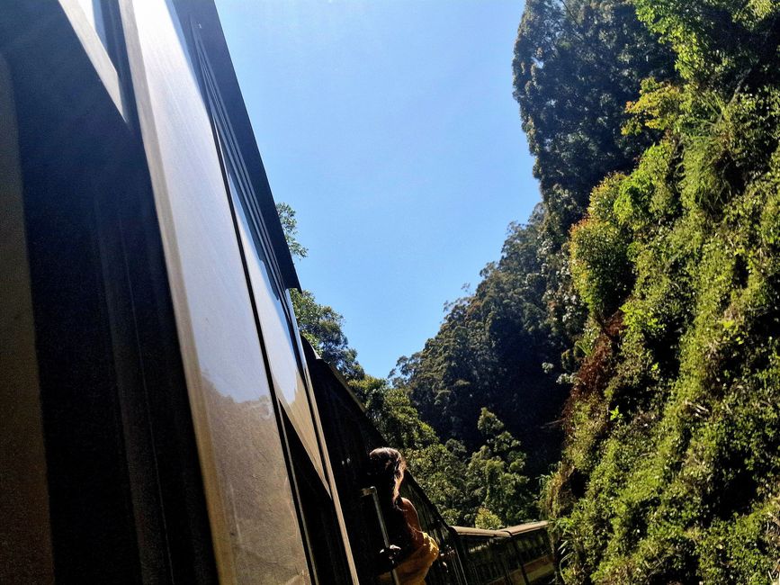 Train ride