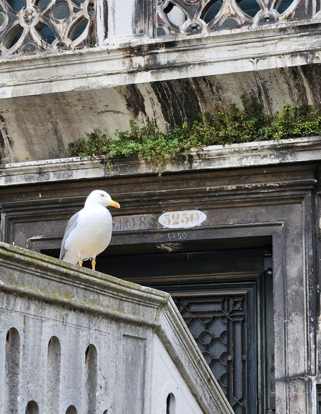 2025 - November - Venedig 