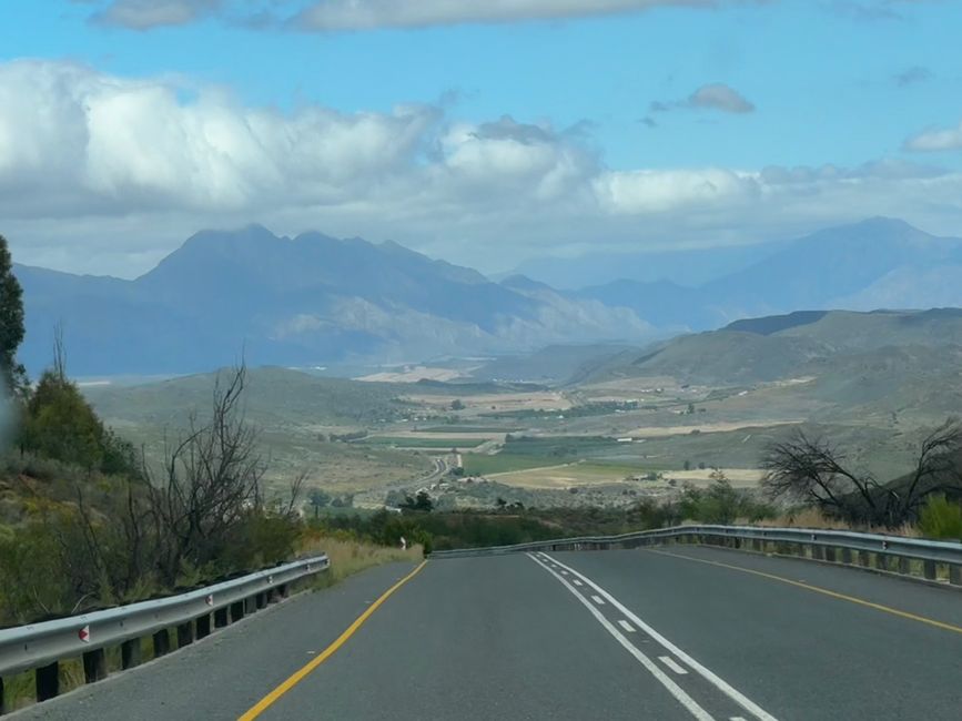 Weihnachtstage in Stellenbosch